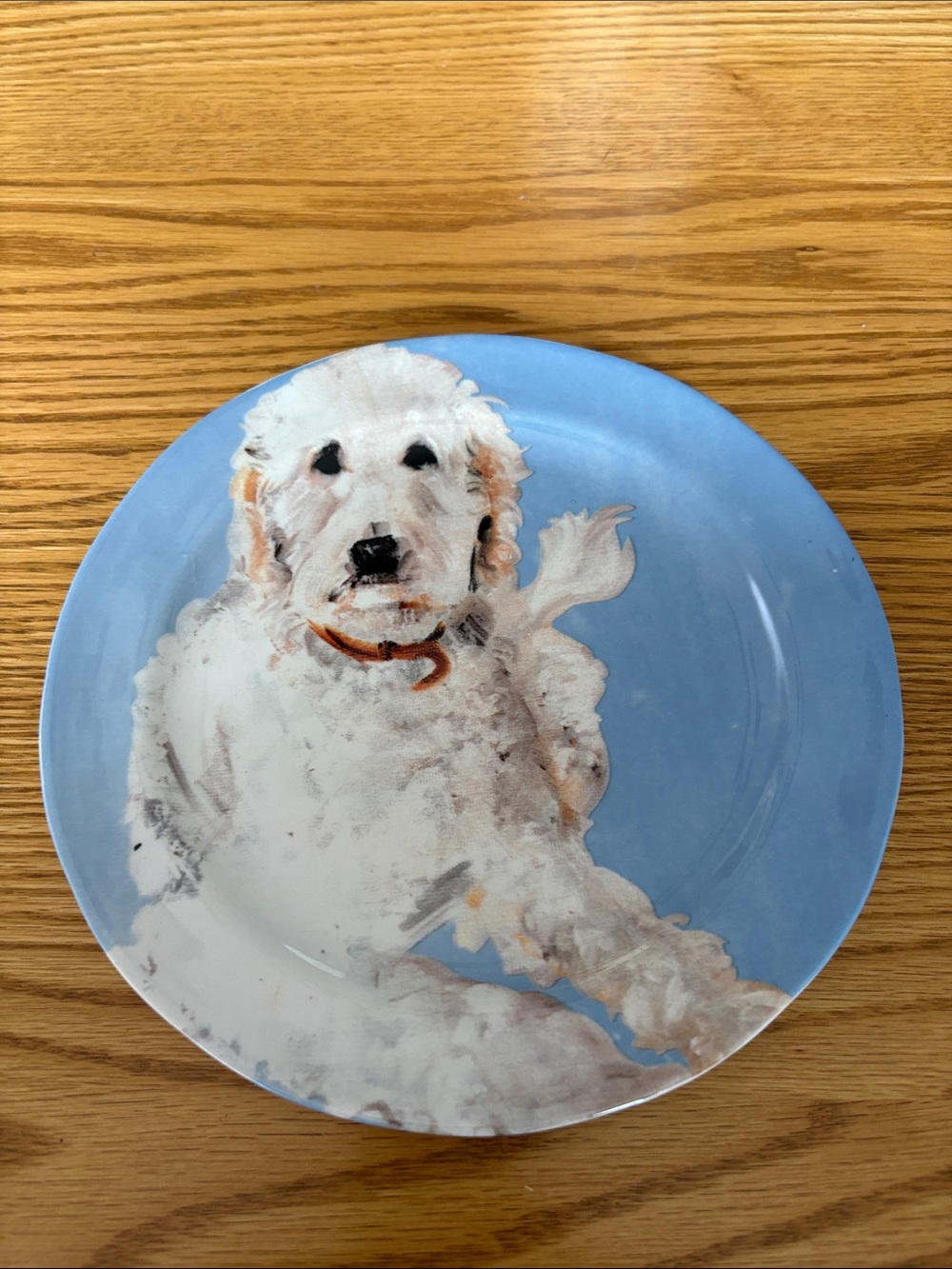 Sally Muir Decorative Laboradoodle Blue Dog Plate - dessert plate NWOT
